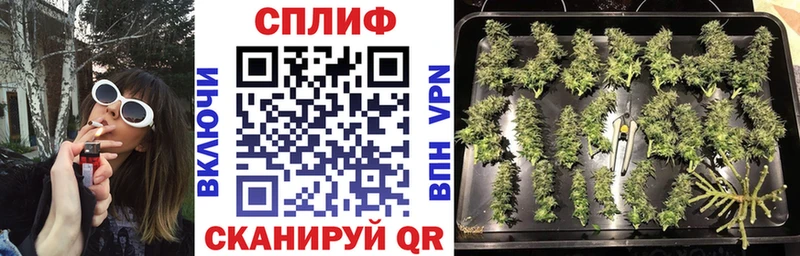 Бошки Шишки VHQ  мега зеркало  Берёзовский 